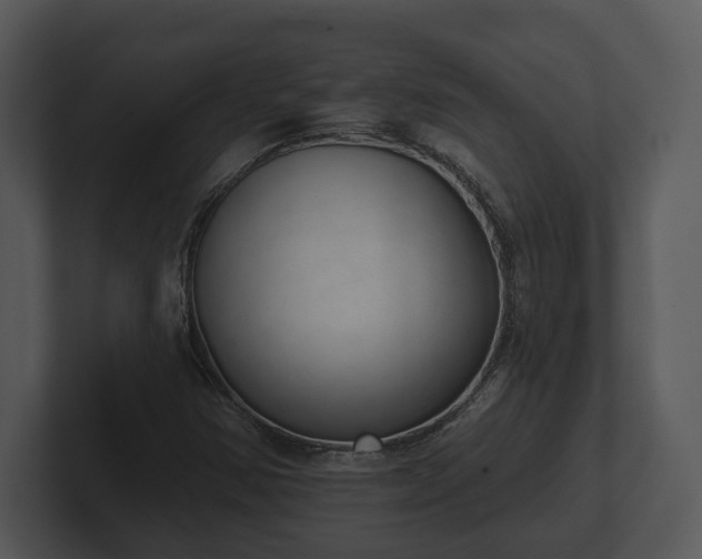 X0000103151354200808291421