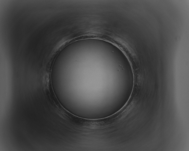 X0000103151355200808291421