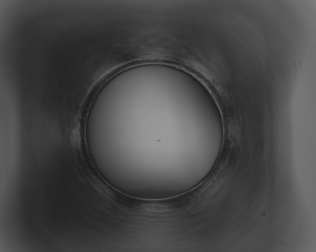 X0000103151356200808291421