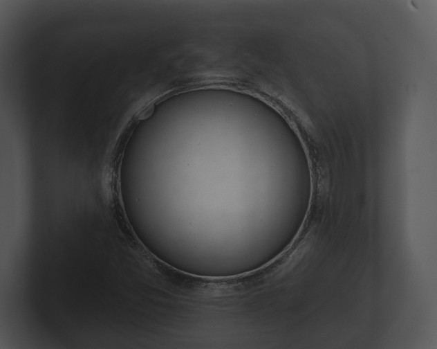 X0000103151357200808291421