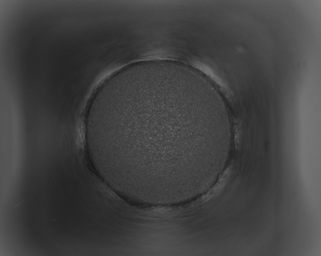 X0000103151358200808291421