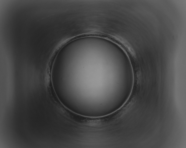 X0000103151363200808291421