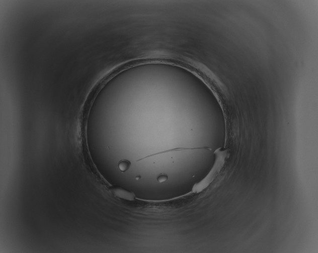 X0000103151364200808291421