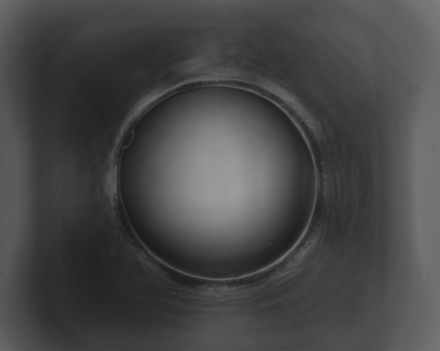 X0000103151366200808291421