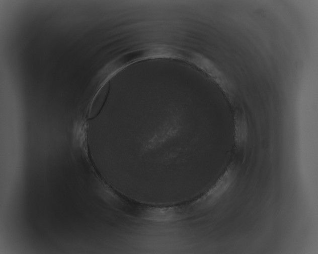 X0000103151369200808291421