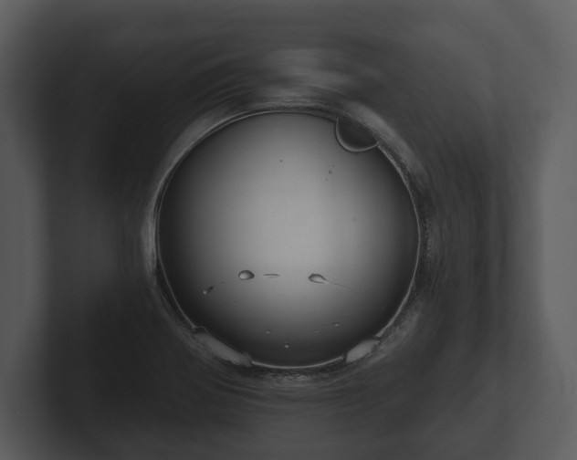 X0000103151370200808291421