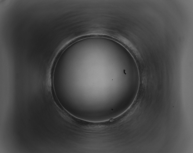 X0000103151372200808291421