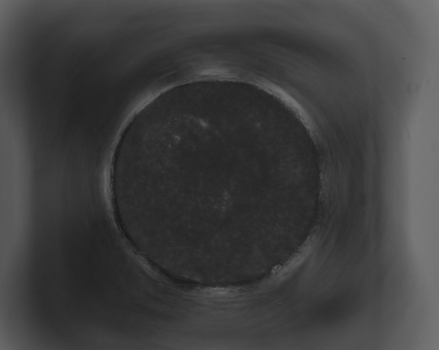 X0000103151373200808291421