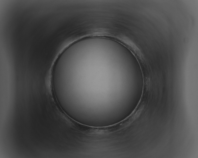 X0000103151374200808291421