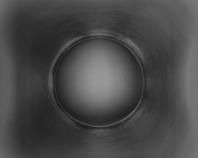 X0000103151376200808291421