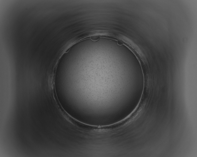 X0000103151377200808291421