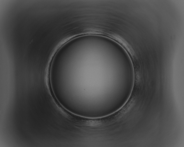 X0000103151379200808291421