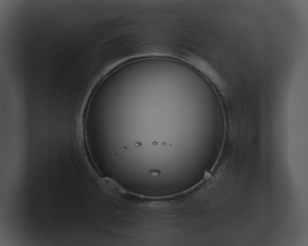 X0000103151380200808291421