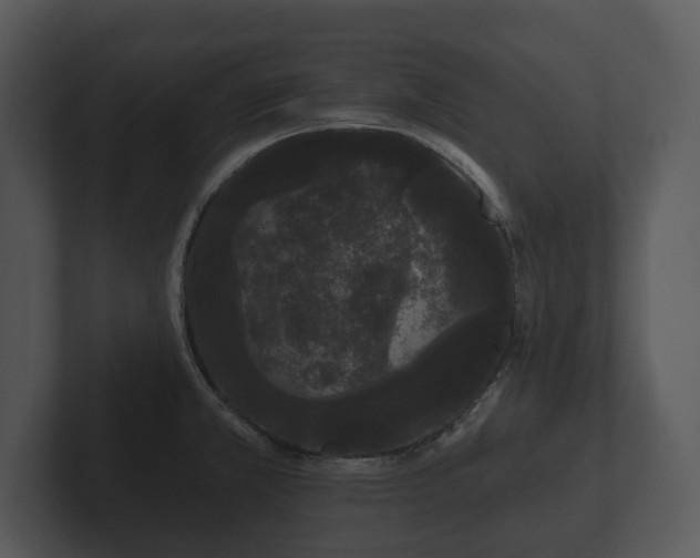 X0000103151381200808291421