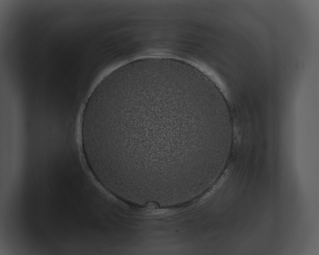 X0000103151382200808291421