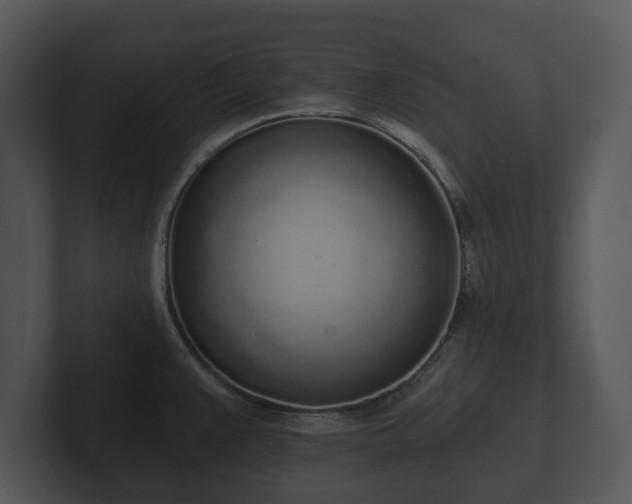 X0000103151383200808291421