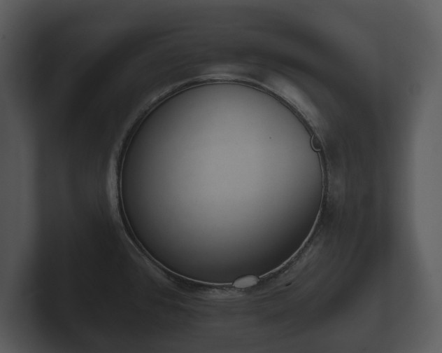 X0000103151384200808291421