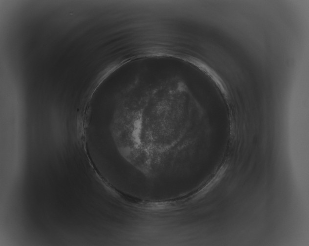 X0000103151385200808291421