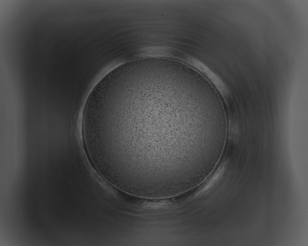 X0000103151386200808291421