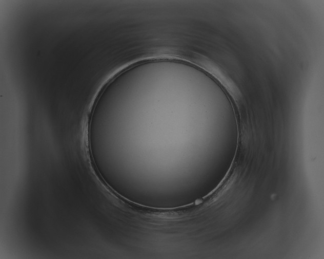 X0000103151388200808291421