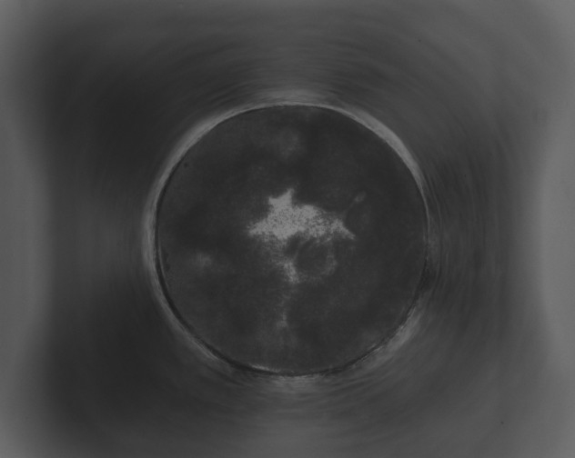 X0000103151389200808291421