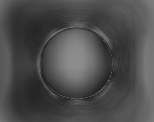 X0000103151391200808291421