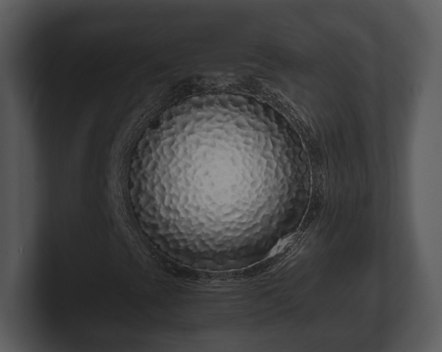 X0000103151393200808291420