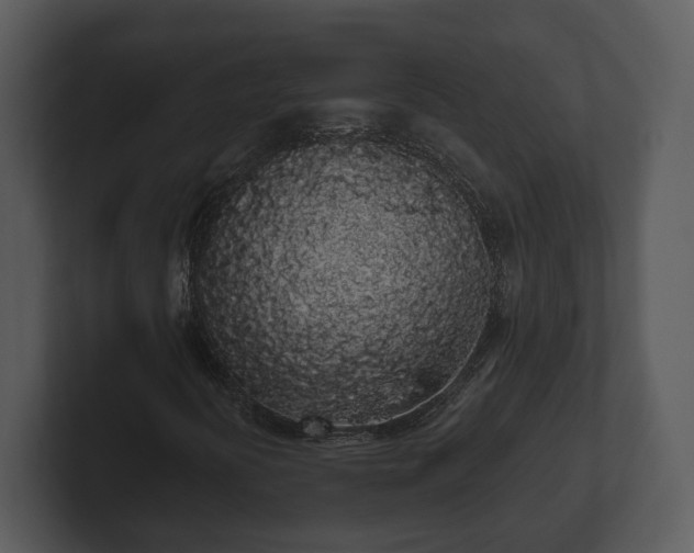 X0000103151394200808291420