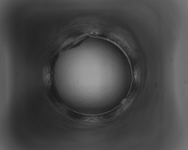 X0000103151396200808291420