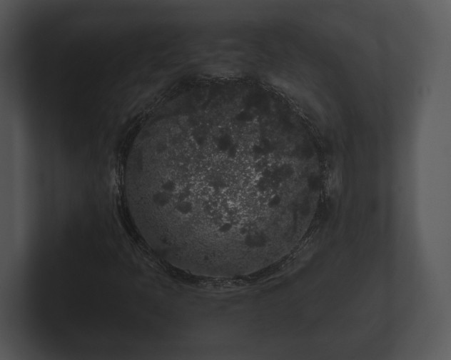 X0000103151397200808291420