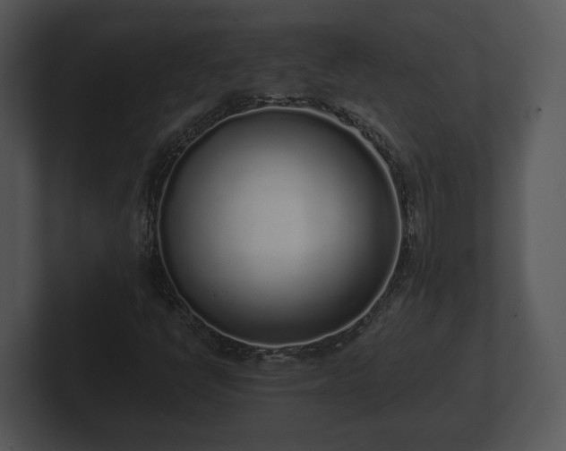 X0000103151398200808291420