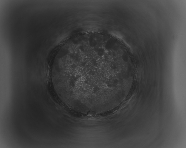 X0000103151399200808291420