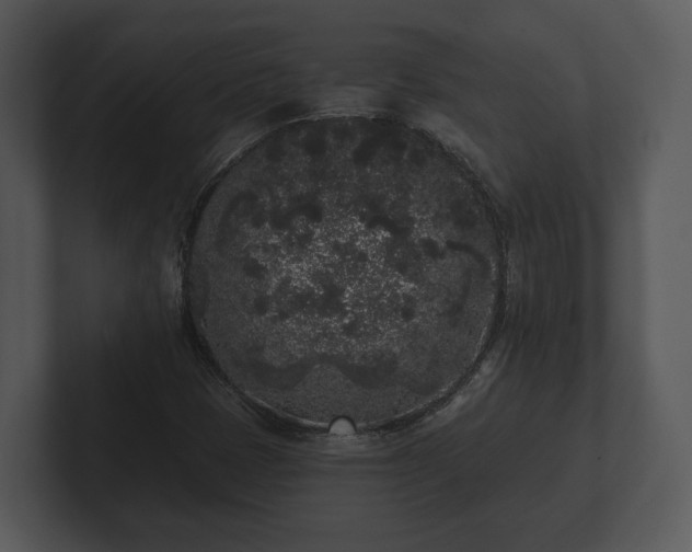 X0000103151401200808291420