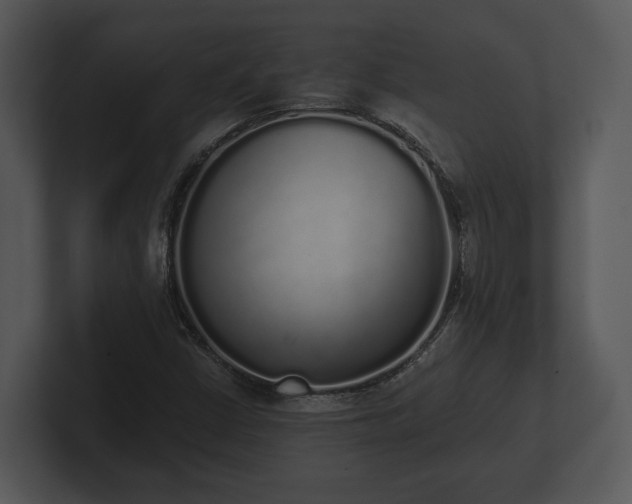 X0000103151402200808291420