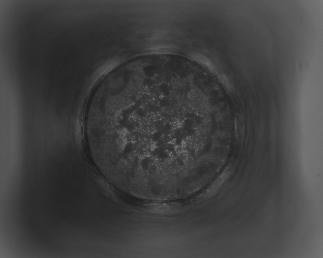 X0000103151405200808291420