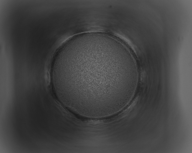 X0000103151407200808291420