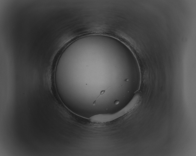 X0000103151410200808291420