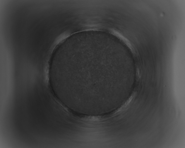 X0000103151411200808291420