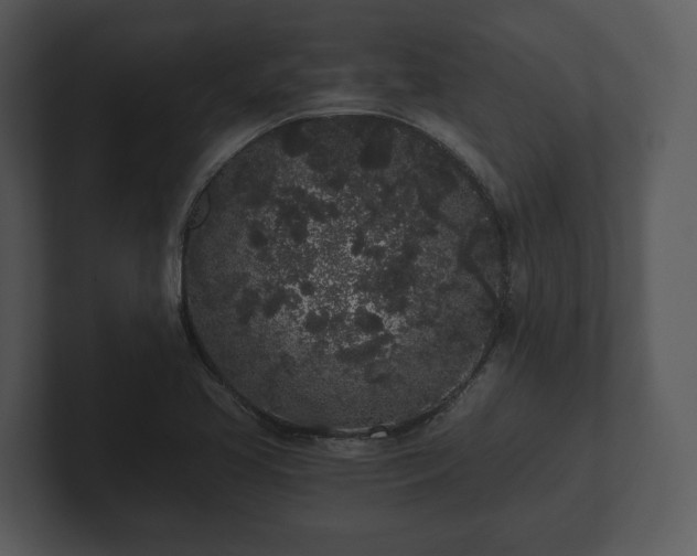 X0000103151413200808291420