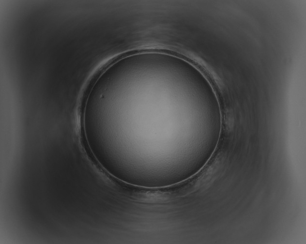 X0000103151416200808291420