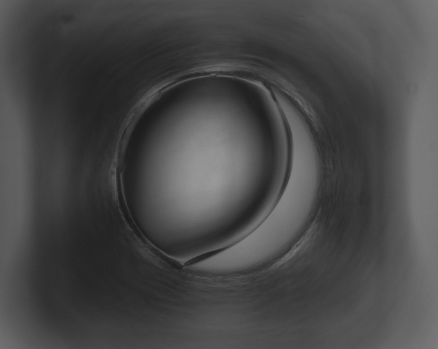 X0000103151417200808291420