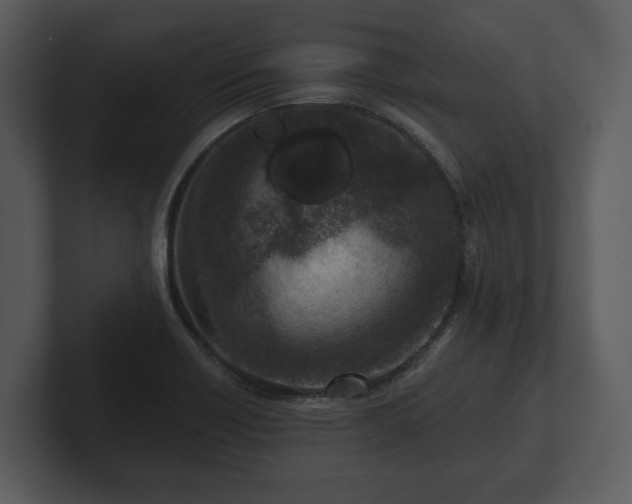 X0000103151418200808291420