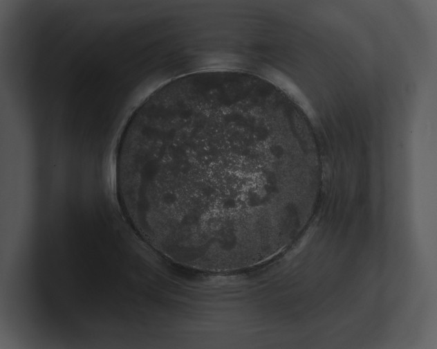 X0000103151419200808291420