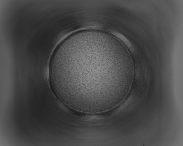 X0000103151420200808291420