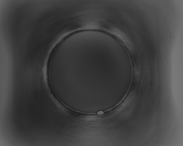 X0000103151422200808291420