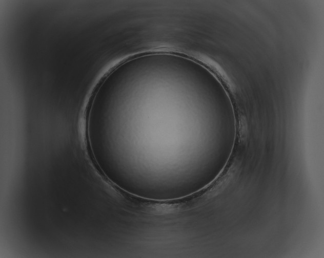 X0000103151424200808291420