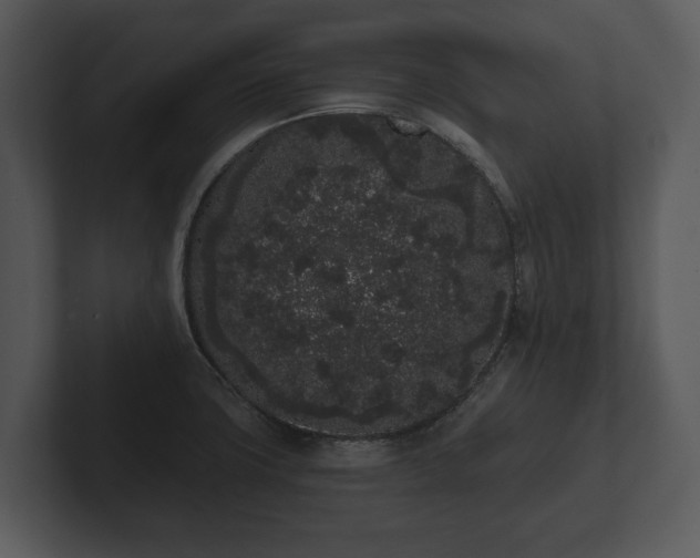 X0000103151427200808291420