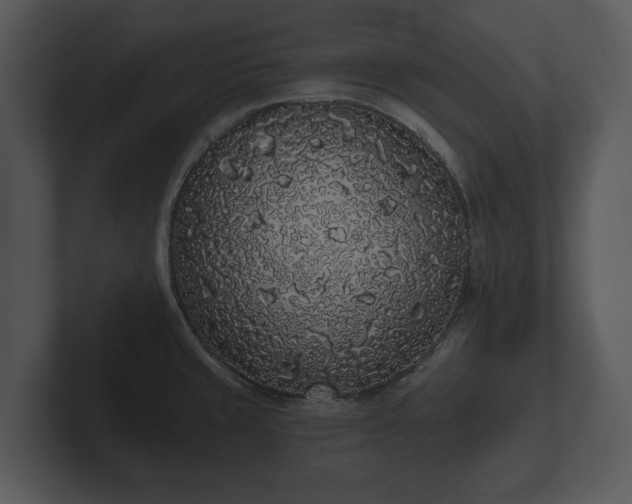 X0000103151429200808291421