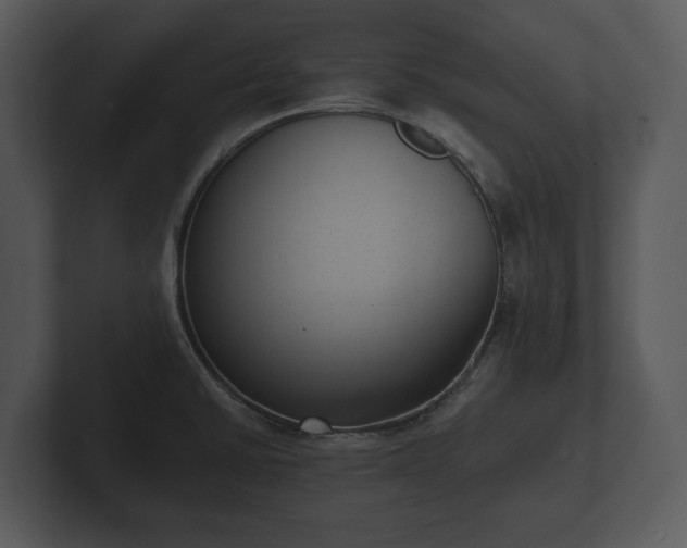 X0000103151430200808291421