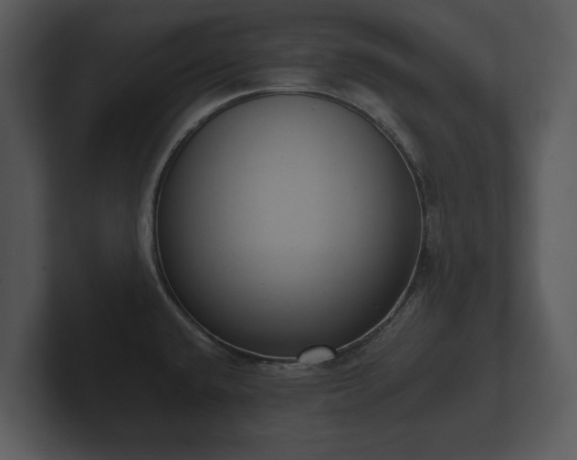 X0000103151432200808291421